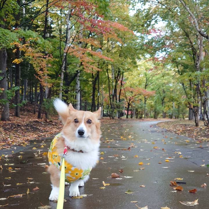 B50fa305 a85d 46d8 9090 57f4edf901d2 1760659268735