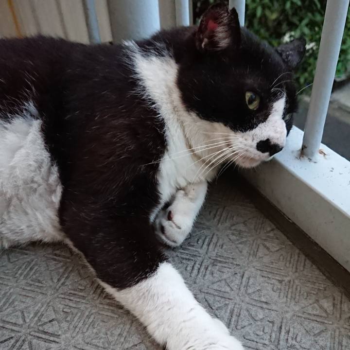 B50fb749 b060 474c 9261 c5e542bbd331 1565185547943