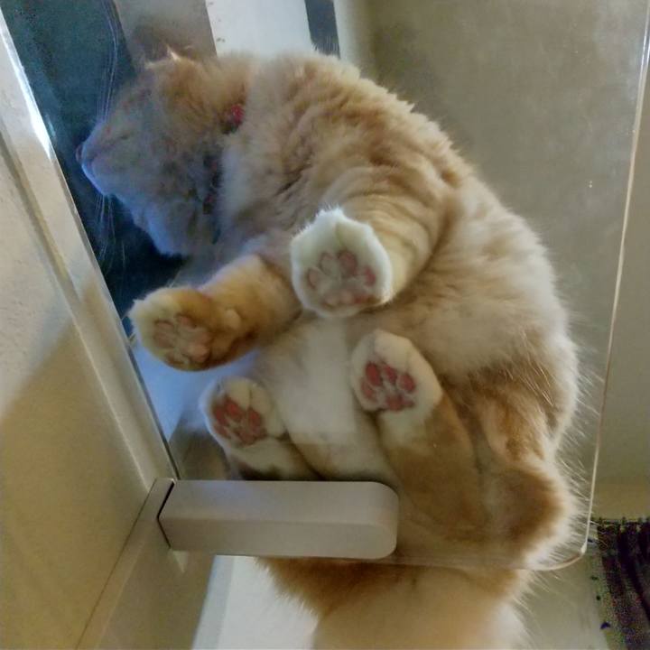 B50fbb52 ac3f 489f 9343 decc42d6bd3b 1634853750316