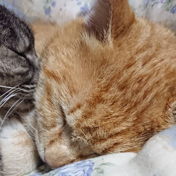 B51014d7 c8b9 4cbc 926a e5c1a447d562 1582806755962