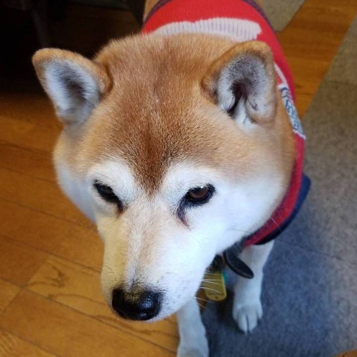 B510186c a918 41d8 87d4 157d1f868cc0 1607668704586