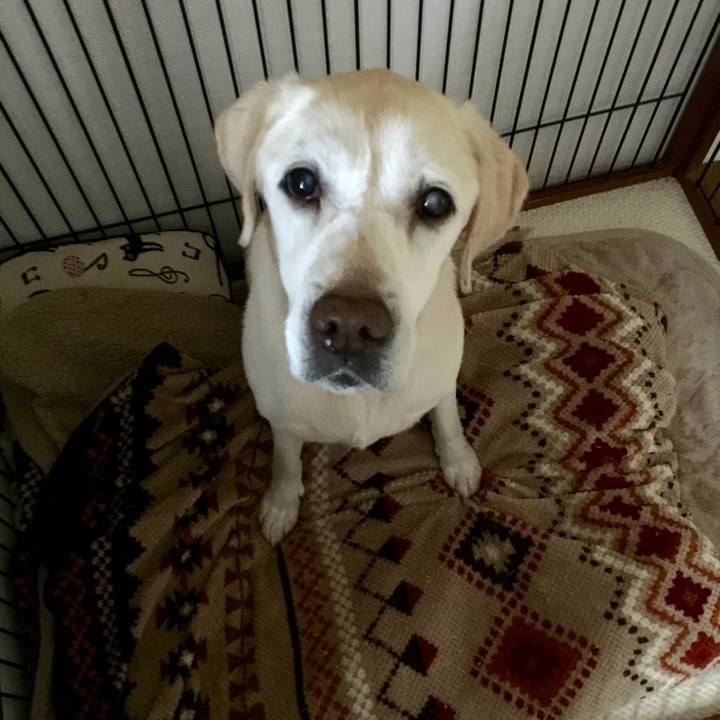 B510193f fda6 45eb b3da 68937a293649 1630583020320