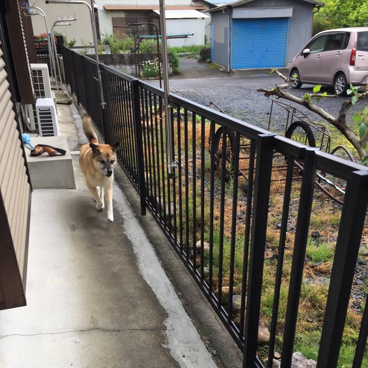 B5102f59 edbc 4e78 9160 89438c7f6bec 1525316755663