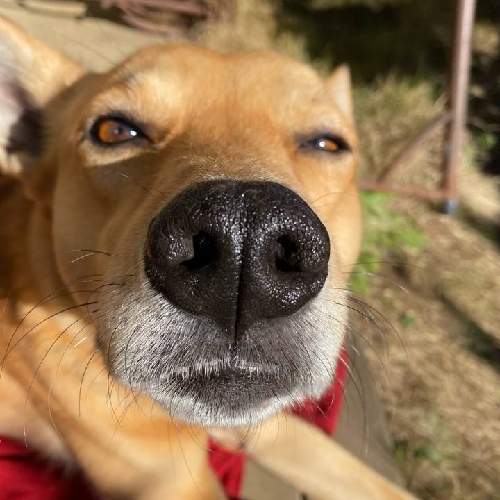 B510731b a120 40fc a465 a2710435fc47 1639366461204