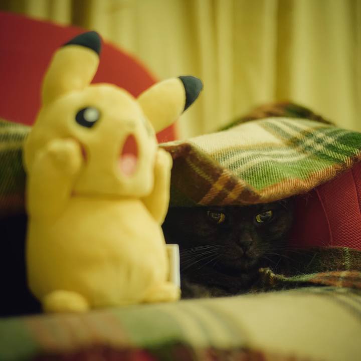 B5108a82 596a 413c be6f 856976b1808f 1541774162241