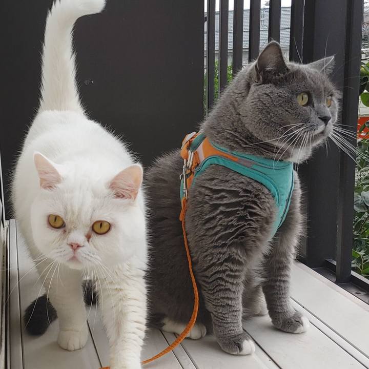 B51095fd 8f88 43f1 8566 9db93a3280f3 1662851715545