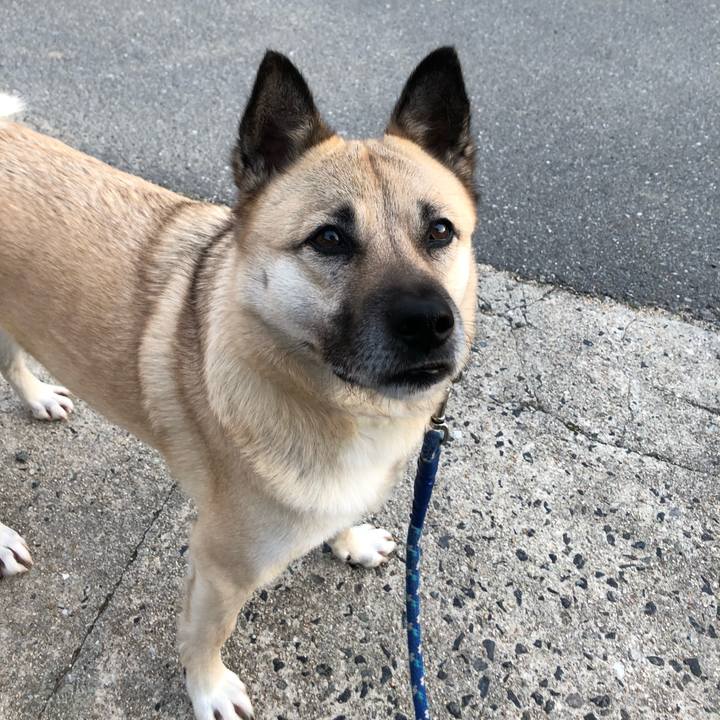 B510ac15 58de 438f afad a8ff2d9cfb02 1615289614639