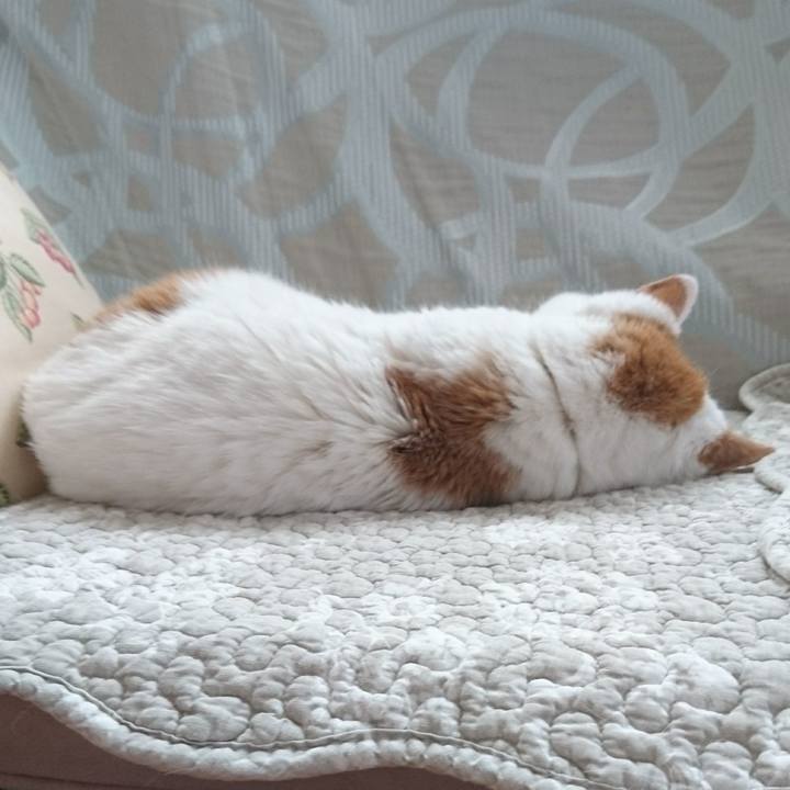 B510b141 d411 40ec ab7a b5524ee03e87 1566186619822