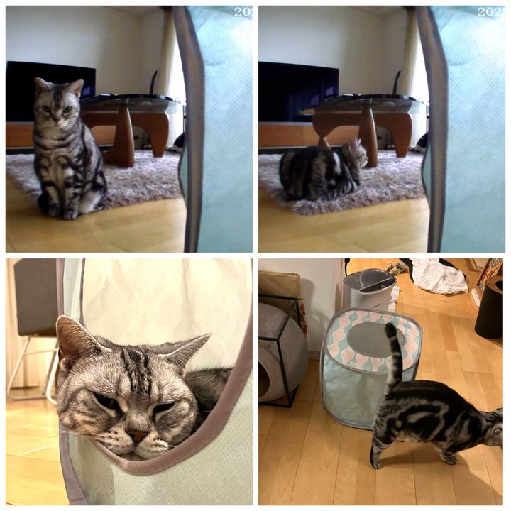 B510b8e6 1c78 409d a679 c0e6caf9b01c 1759667094958