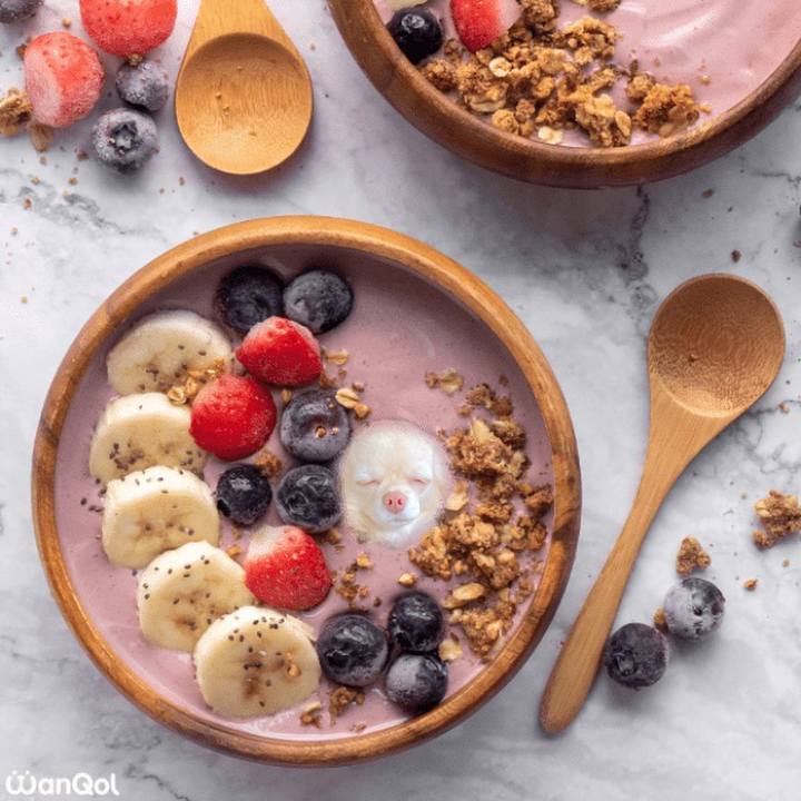 B510c45d 8931 4480 8d7a 70d6d8ad9401 1639726860962