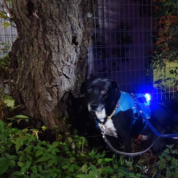 B510c712 b937 4342 a818 31a033ed7f06 1697627317604