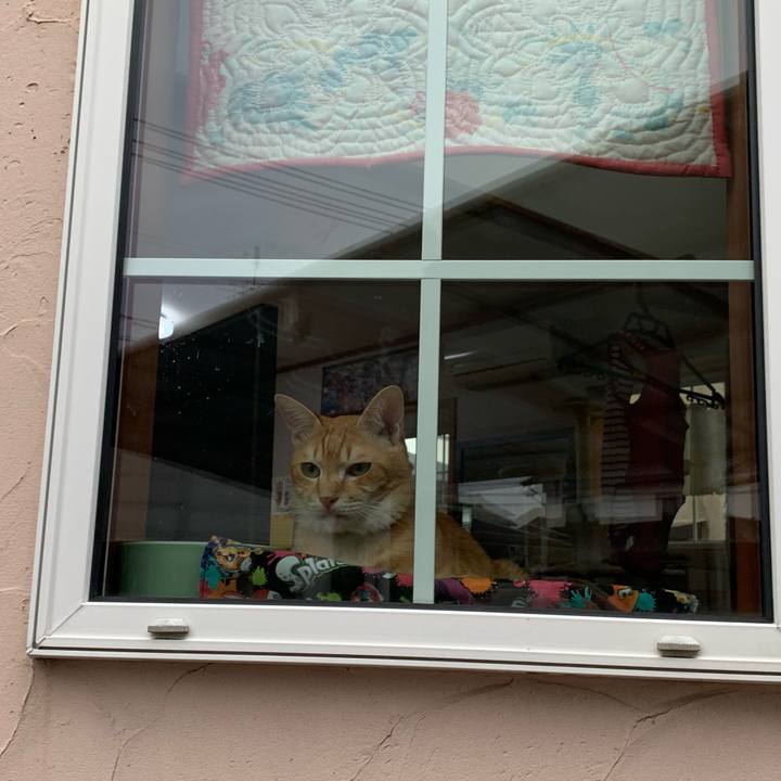 B51104a6 9055 4730 8371 1ba8a890578e 1592391627341