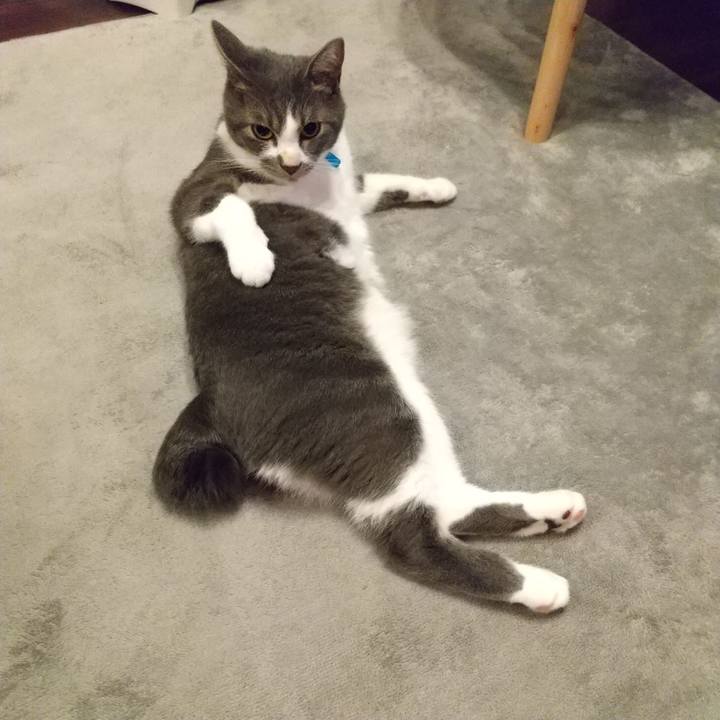 B5116794 800b 44e1 b8cb 2f78e8fd3d5a 1602418305025