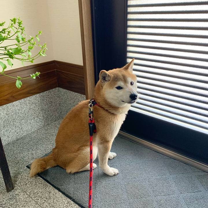 B5119f23 e6e3 4b24 80ae 15efd8b532c9 1652260095802