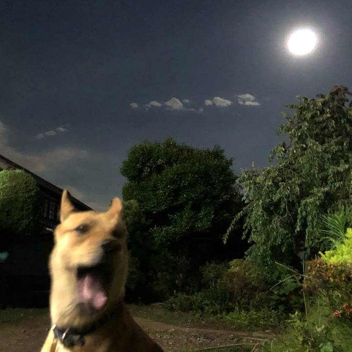 B511cfbe 1a51 48e4 8e8d 776008f82889 1560776066858