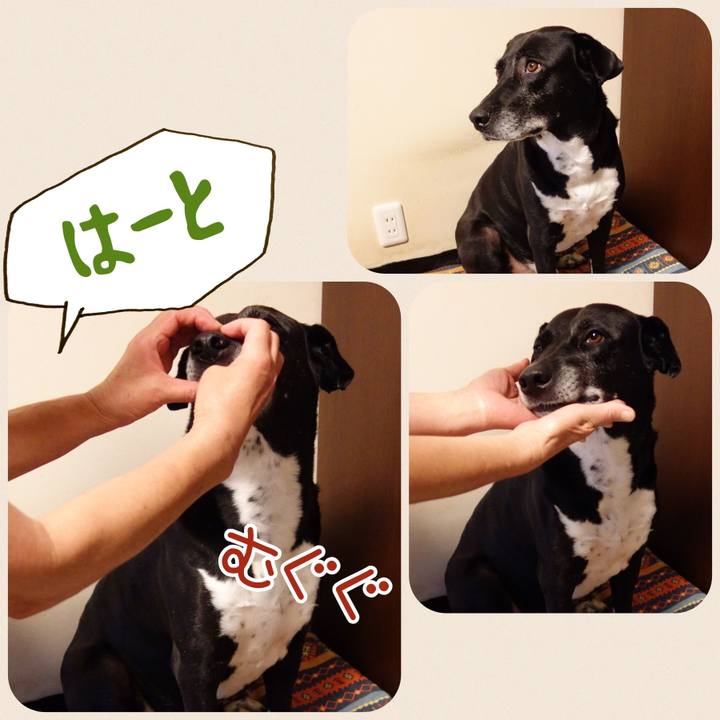 B511ec54 0bed 41d5 b740 9b263dfcc777 1718497896033