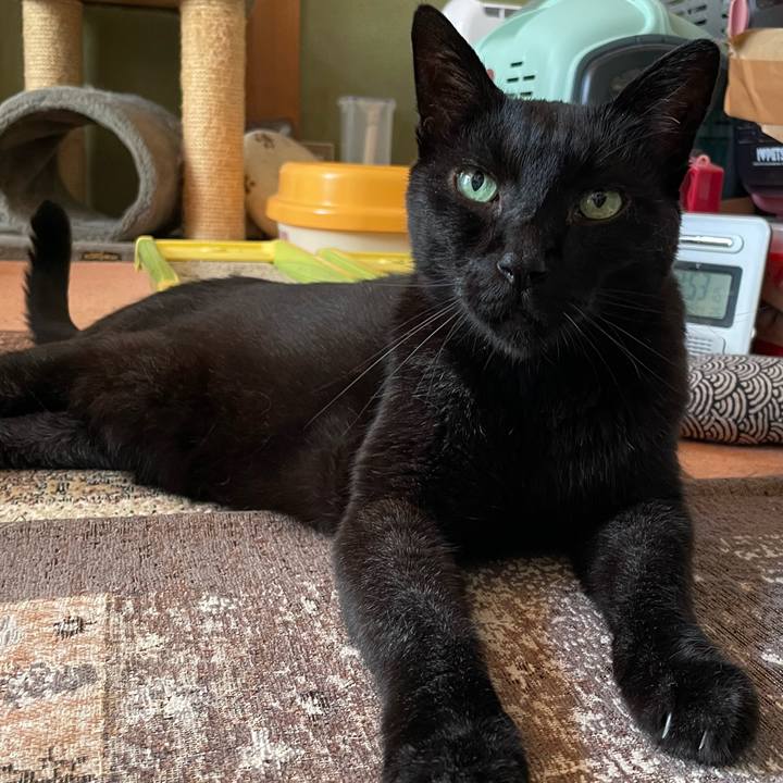 B5122b7f fe91 4ee1 8d0f c178afdb5ea8 1660185657950