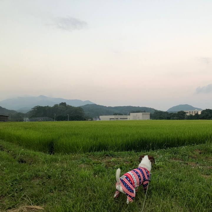 B5125172 63fc 4b9c 8bcd 9aff69173164 1566042812383