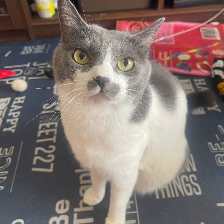 B51281c9 8863 402c b8fa f8d0d6114f17 1724548916916