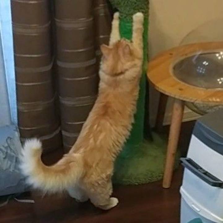 B512ec93 3c75 4e90 abba ba126559498b 1635803823399