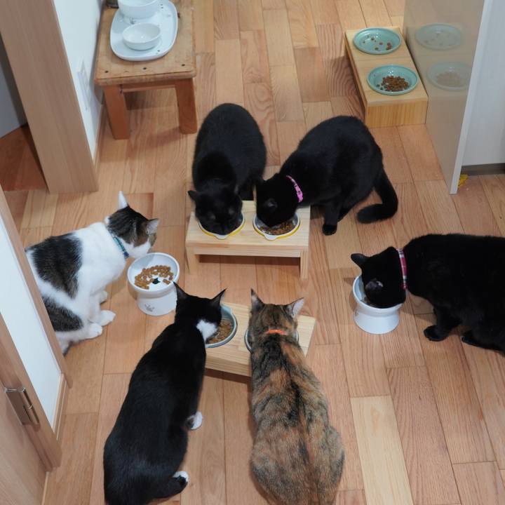 B51311b1 9e15 4022 8617 9ee0f94c68d6 1605363826820