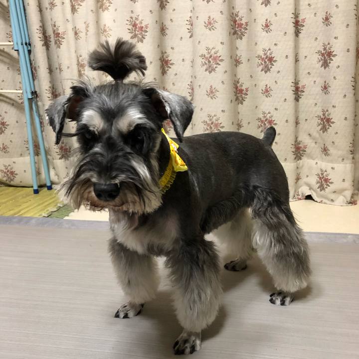 B5131503 9e5e 49be 9ec8 da05d666ceb7 1587557670812