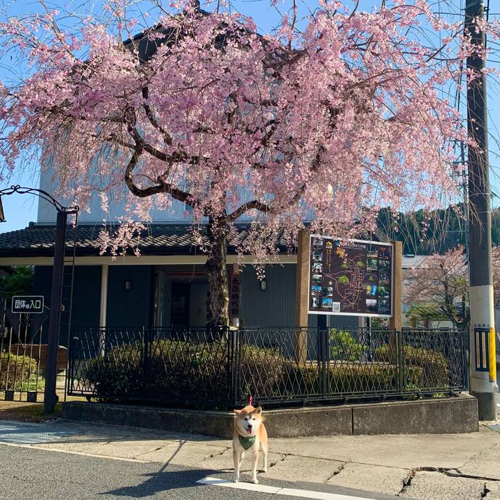 B51364e1 649d 4f2c 87bd 361520e94887 1681212529160