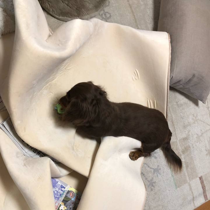 B51374ab 64f5 483a b415 977ff2f7d8b5 1512569735032