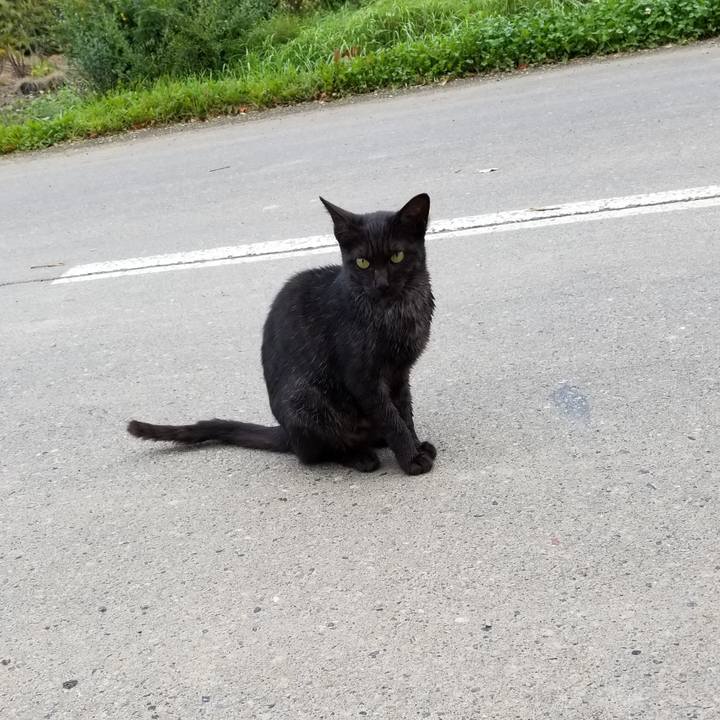 B5138248 b428 4a78 b17c 91eb8e41d05e 1570750657571