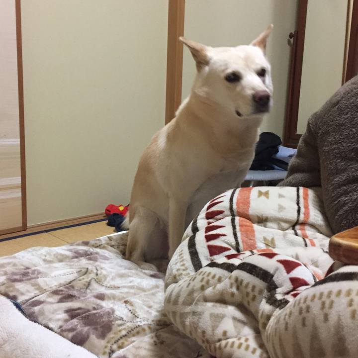 B5138374 9fa3 487e 8238 8b1db6f5df17 1516450974924