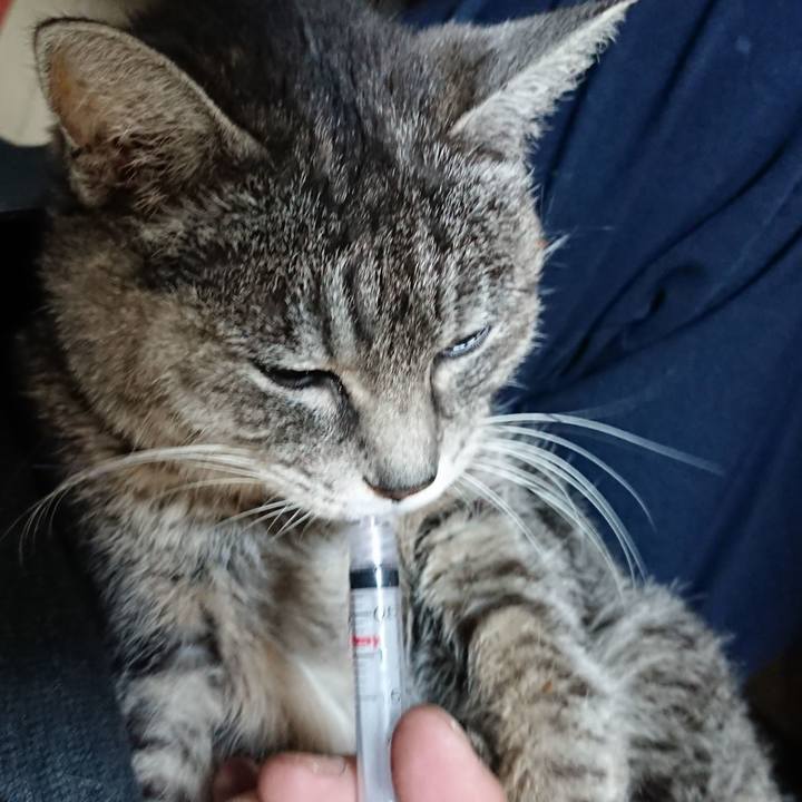 B5139a60 074d 4f3e b29c e711a81b12dd 1578951276234