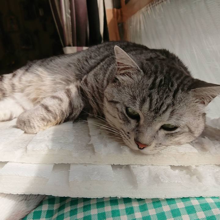 B513d728 f486 437e 895d d7578509f556 1519266059248