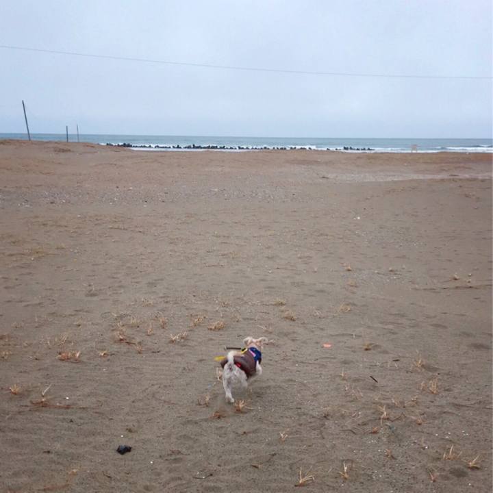 B513ded7 7596 4883 85a0 372213ffe962 1516272134525