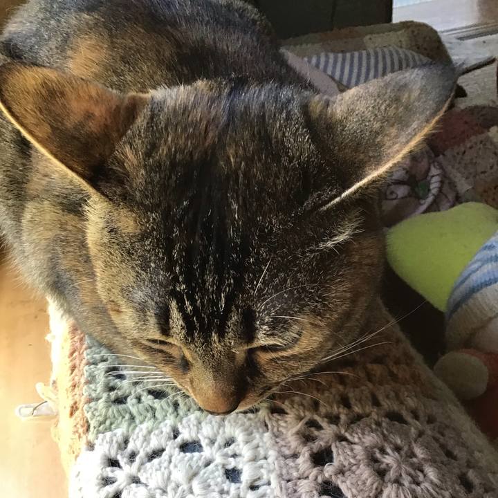 B513dfb9 5ad2 4963 8754 2dabe0d36e27 1651553138357