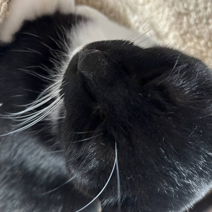 B51416fb 78f1 4f52 881b 84ee89638423 1765317301475