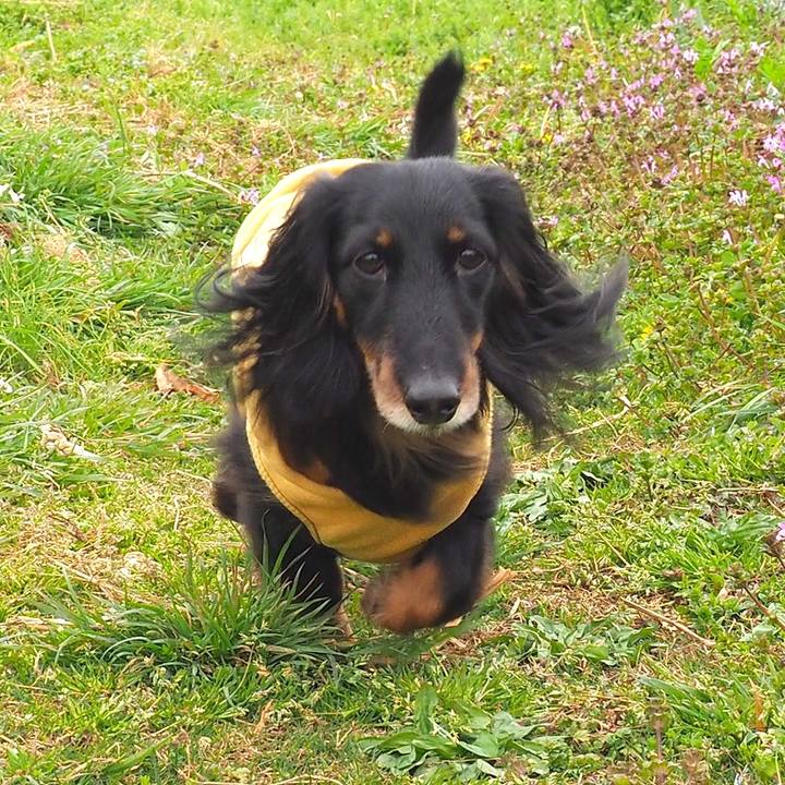 B514190b 269c 4ea4 8f23 1264e87396de 1648520358206