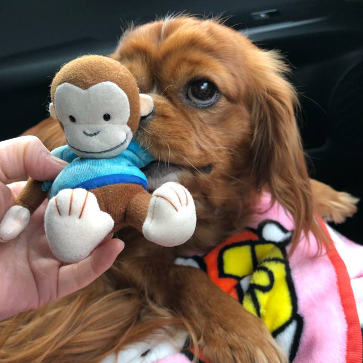 B5144580 40b5 416d b017 e0ebf75a3bb2 1584143096325