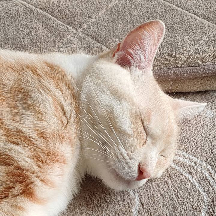 B5145d19 75f4 4cc2 b1ce 695ed17b1fea 1677391762911