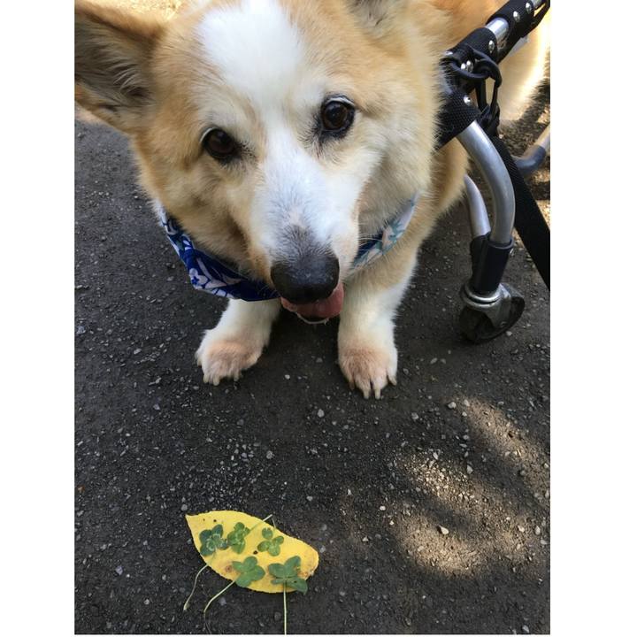 B5147f16 fe34 48dd abba 262db5a97345 1719795609577