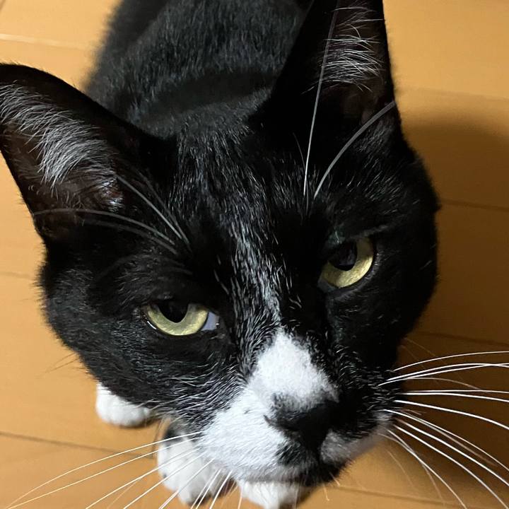 B514c7df c7d7 41c2 be47 809d55196230 1696072108323