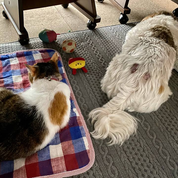 B514d359 34b5 4b65 9fce 6df8e136e110 1623996028365