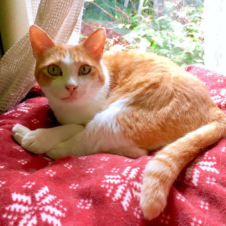 B514d421 add4 4514 a498 75c133ee2ce7 1569295503243