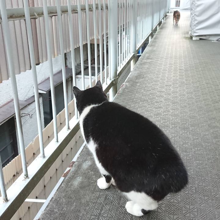 B5150477 3797 44f7 92e3 29890ac1629a 1669501376671