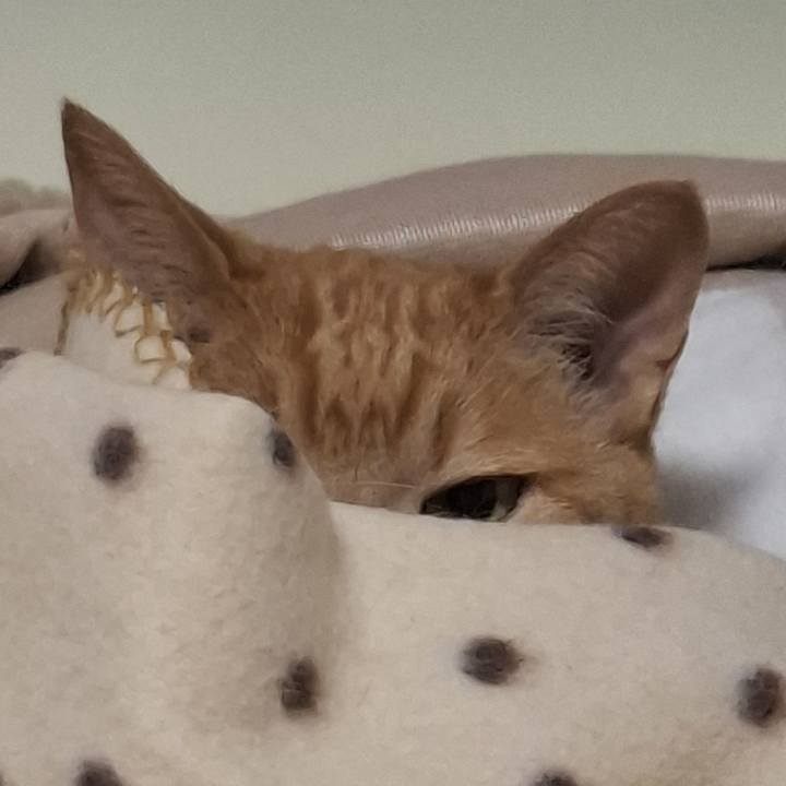 B5151f7a b340 4032 a52f eeb60bc4d49d 1746404405768