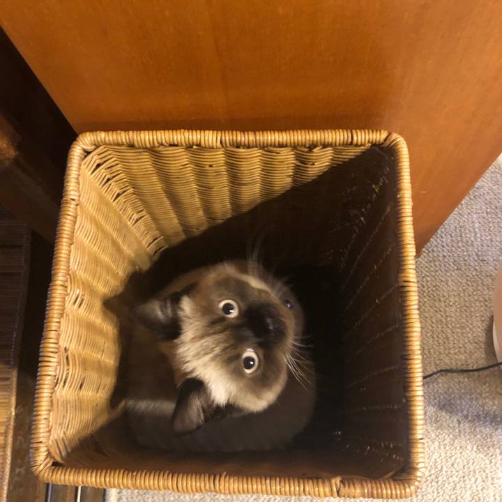 B5152034 a92e 4f50 bc69 4a235168002a 1593131026538