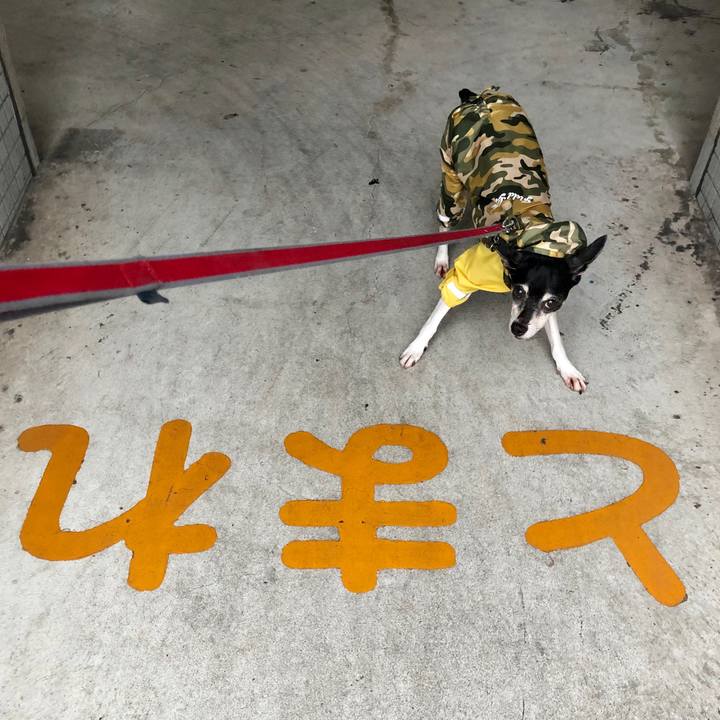 B5154c2b d97a 4da2 b8ce 89102befe051 1561931899514