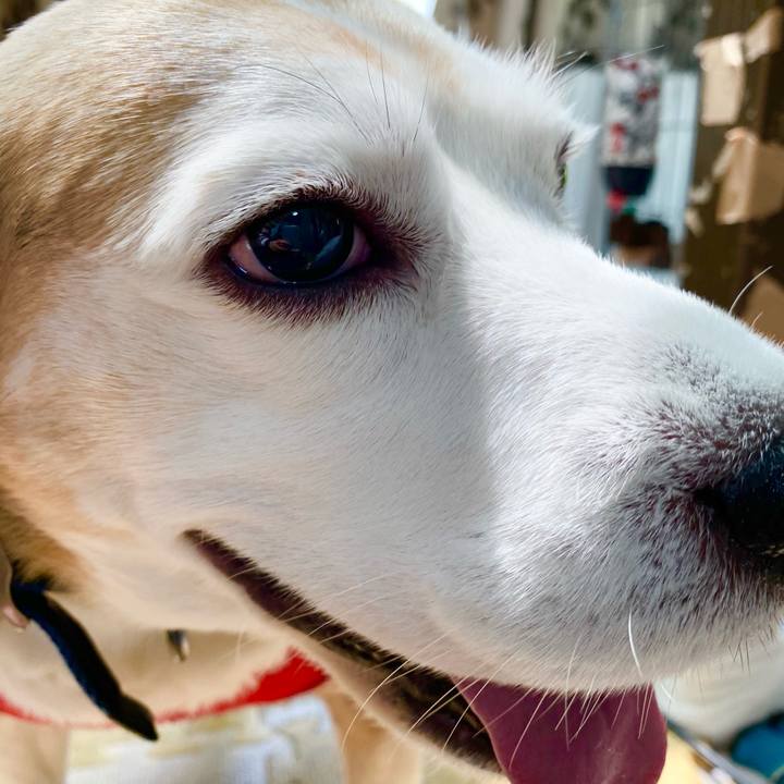 B5156662 7df7 4dc8 9d1a e1741f54d880 1618716245811