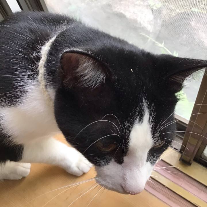 B5159e91 744d 48ff b016 1d3ffcee9a8b 1654207674676