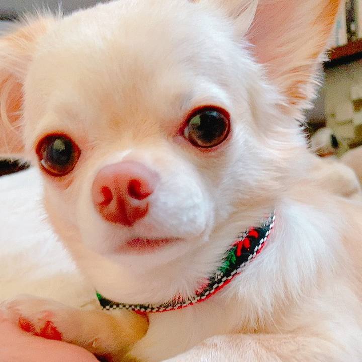 B515a6af 4e43 484b abf5 b531689746b8 1630608280784