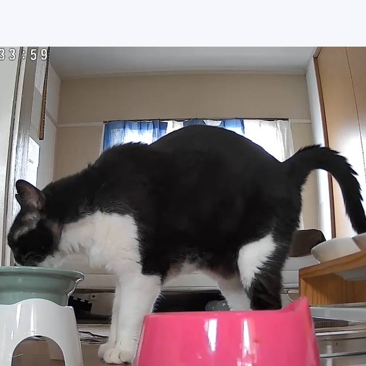 B515bc29 2b29 442c 8bcd f93a2e297ad5 1722557914044